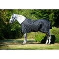 Back on Track Turnout Rug